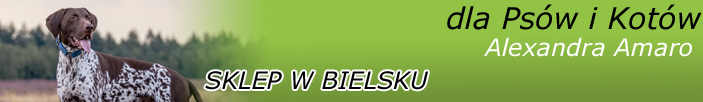 Bielsko-Biała